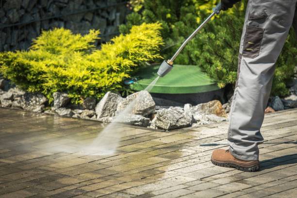 Best Animal Enclosure Cleaning  in Three Lakes, FL