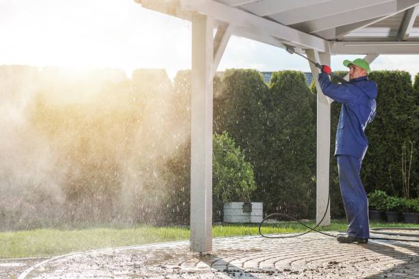 Best Solar Panel Cleaning  in Three Lakes, FL